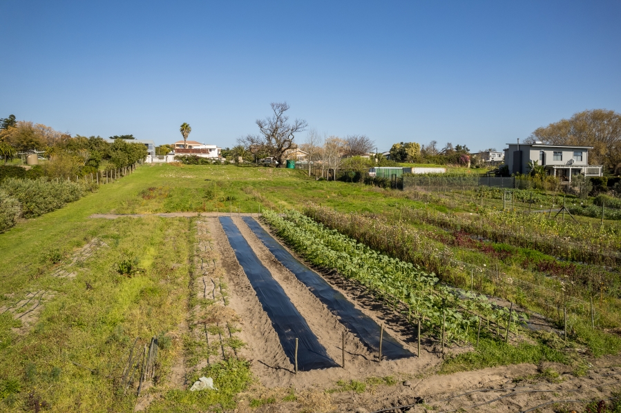 0 Bedroom Property for Sale in Jamestown Western Cape
